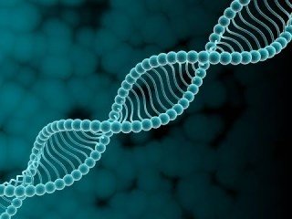 Гены и эволюция